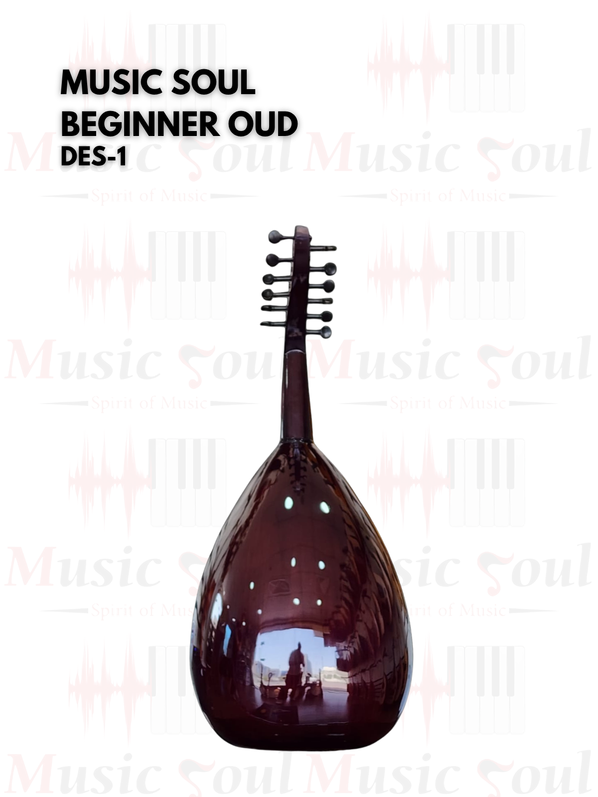 Music Soul - Beginner Oud