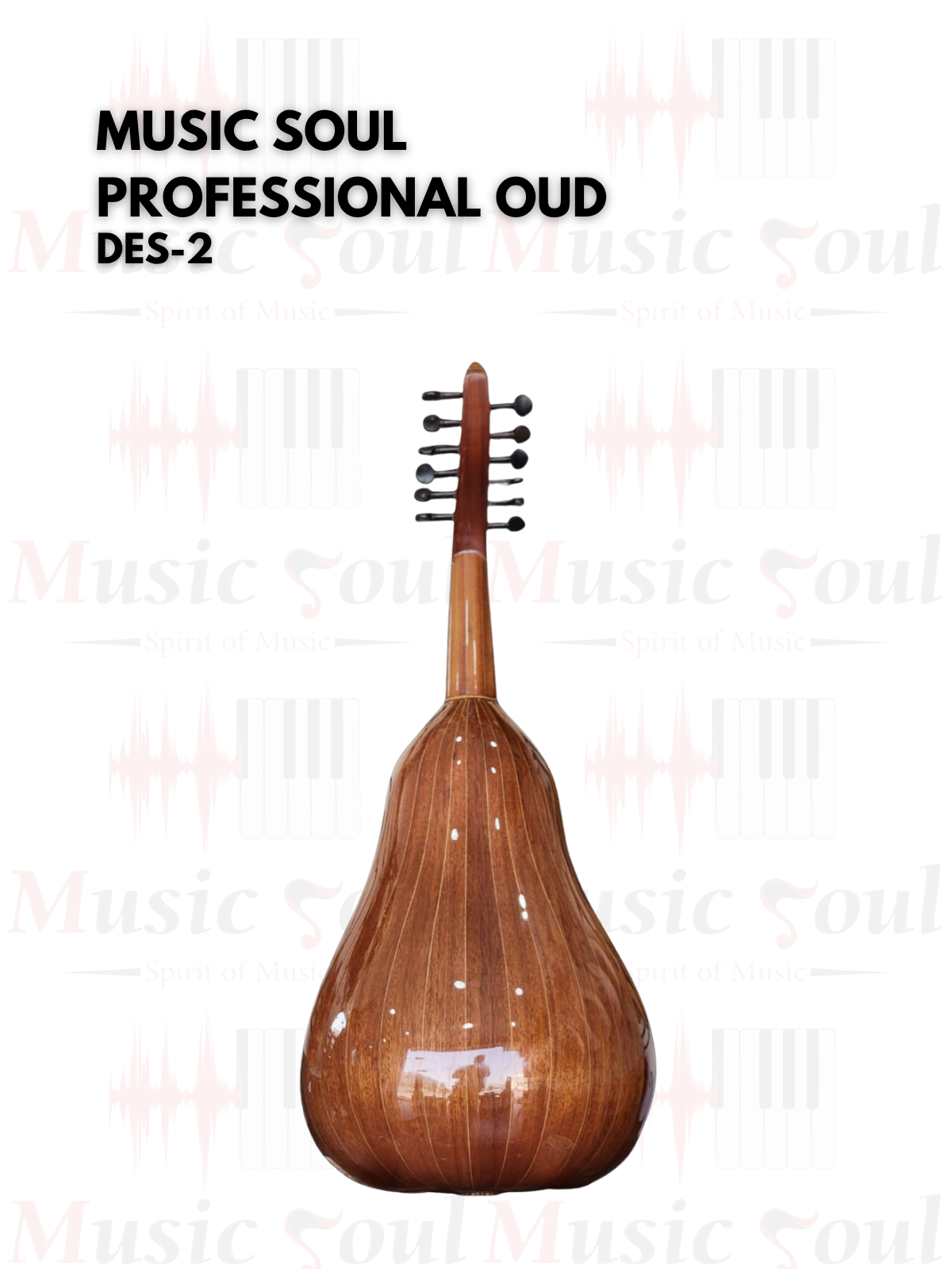 Music Soul - Professional Oud