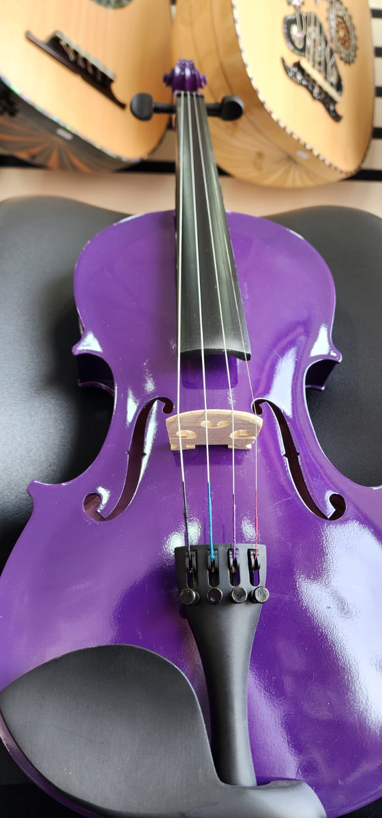 Mike Music - Purple Violin