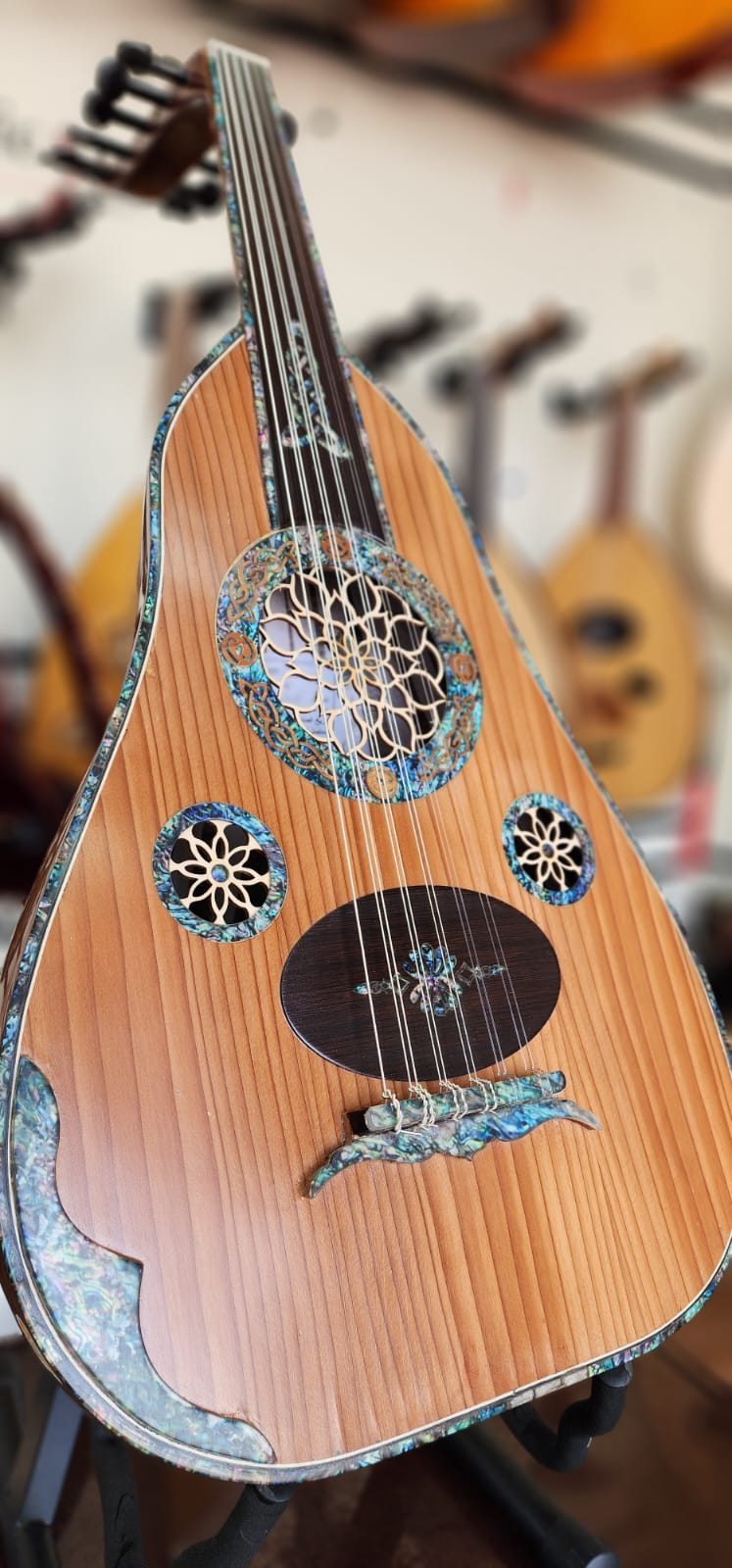 Music Soul - Professional Oud